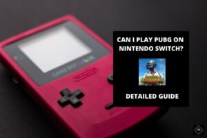 Pubg On Nintendo Switch