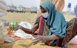 Ethiopia Horn of Africa Hunger 11118.jpg 1819a