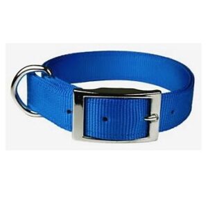 collar macho dog blue