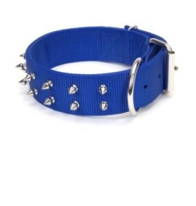 collar macho dog blue w studs