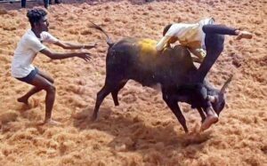 14 injured in jGDK9O00K1.3.jpg