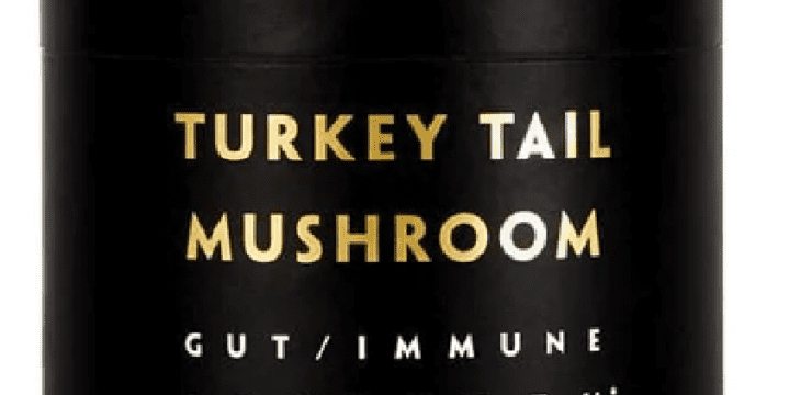 turkey tail mushrooms