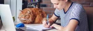 wfh home work office cat adobe