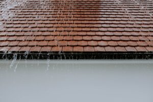 Protect Your Homes Roof From Water Damage