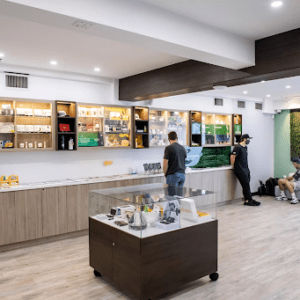 5 Tips to Choose The Best Cannabis Dispensary in Toronto 179 Cannabis Dispensary