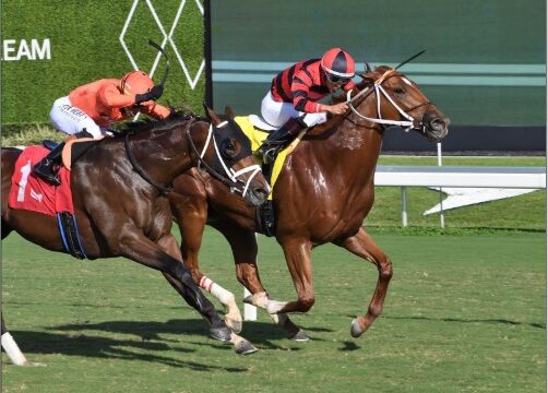 India horse race fixtures