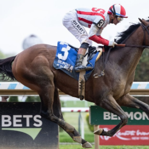 Chennai horse race
