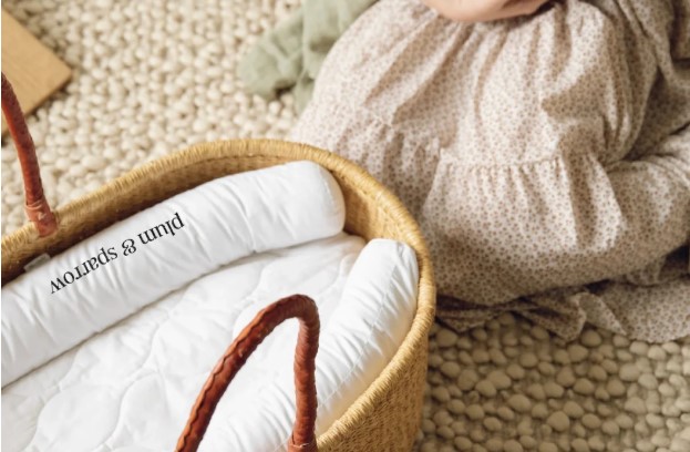 Why Bassinets Are Essential for Newborn Comfort 1 Screenshot 67