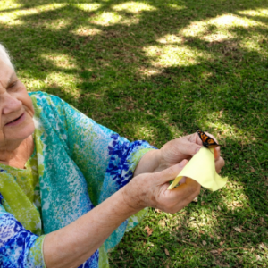 butterfly release company