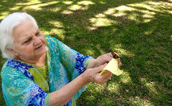 butterfly release company