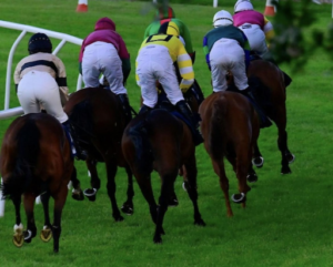 Bangalore Turf Club: The Heritage, the Horses, and What Makes It India's Finest Racecourse 3 Bangalore Turf Club