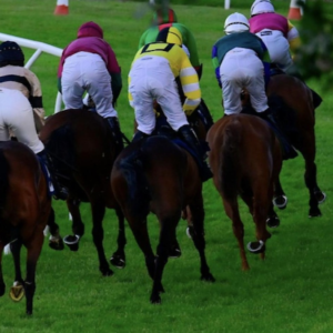 Bangalore Turf Club