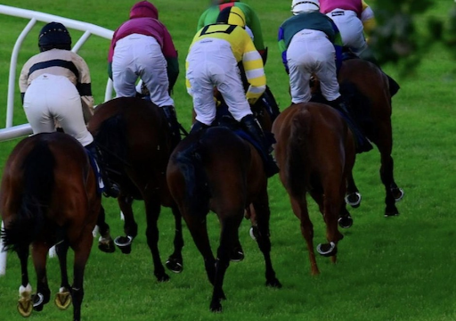 Bangalore Turf Club