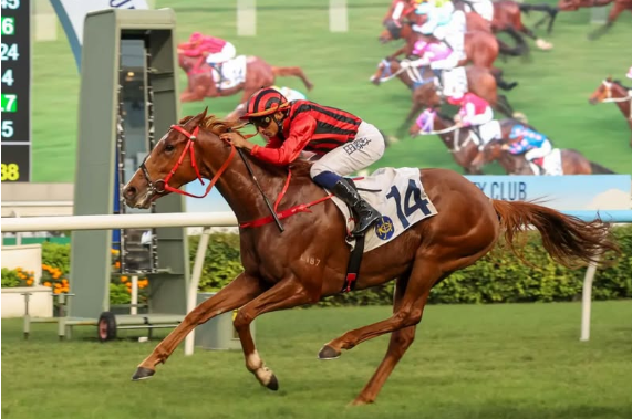 A Follower Checklist for the Madras Race Club Season 3 Madras Race Club2