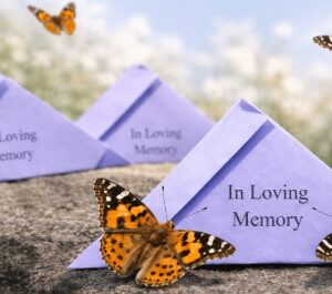 butterfly release for funeral