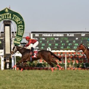 Chennai horse race