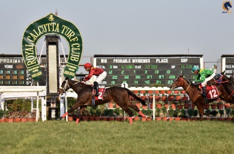 Chennai horse race