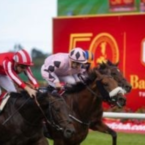 India horse race card