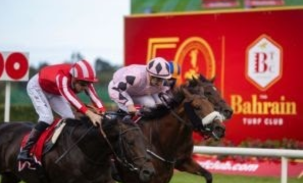 India horse race card