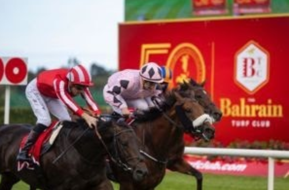 India Horse Race Card Explained: A Complete Guide for Beginners 3 India horse race card