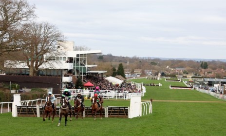 horse race