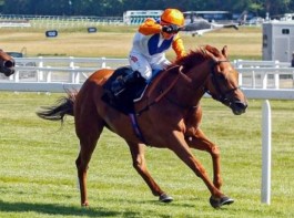 Madras Race Club