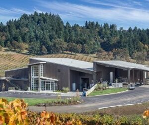 Commercial metal building repair