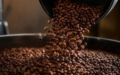 premium coffee beans  